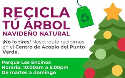 Inició Gobierno de Tecate programa de Reciclaje de Árboles Navideños