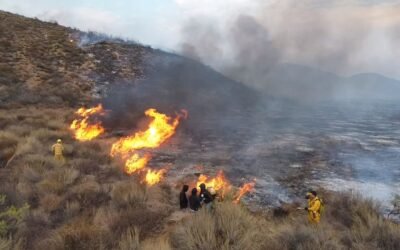 Combatieron Bomberos y locatarios incendio en San Jacinto