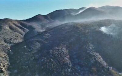 Cerca de mil hectáreas consumidas tras incendio forestal de Piedras Gordas