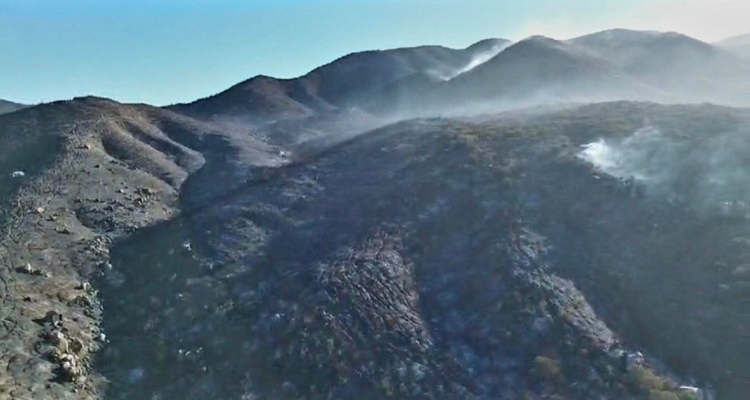 Incendios forestales 