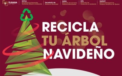 Anuncia Ayuntamiento de Tijuana ¨Campaña de Acopio de Árboles Navideños¨