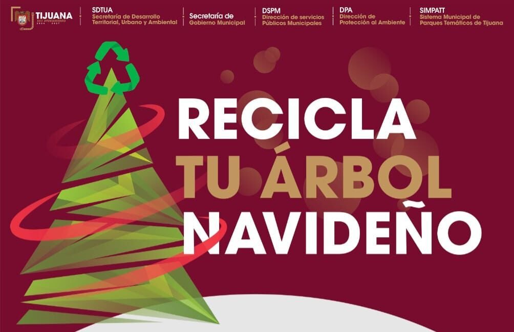 Campaña recicla arbol navideño