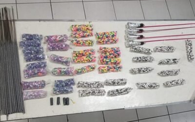 Aplicó DSPM 244 multas ecológicas y 50 detenciones