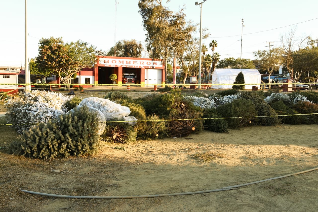 árboles navideños árboles navideños