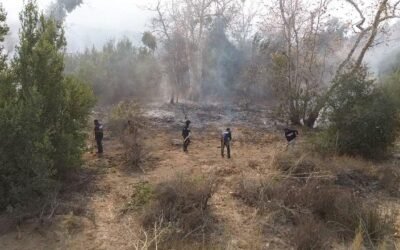 Controlado al 50% incendio forestal en Ejido Uruapan: Claudia Agatón