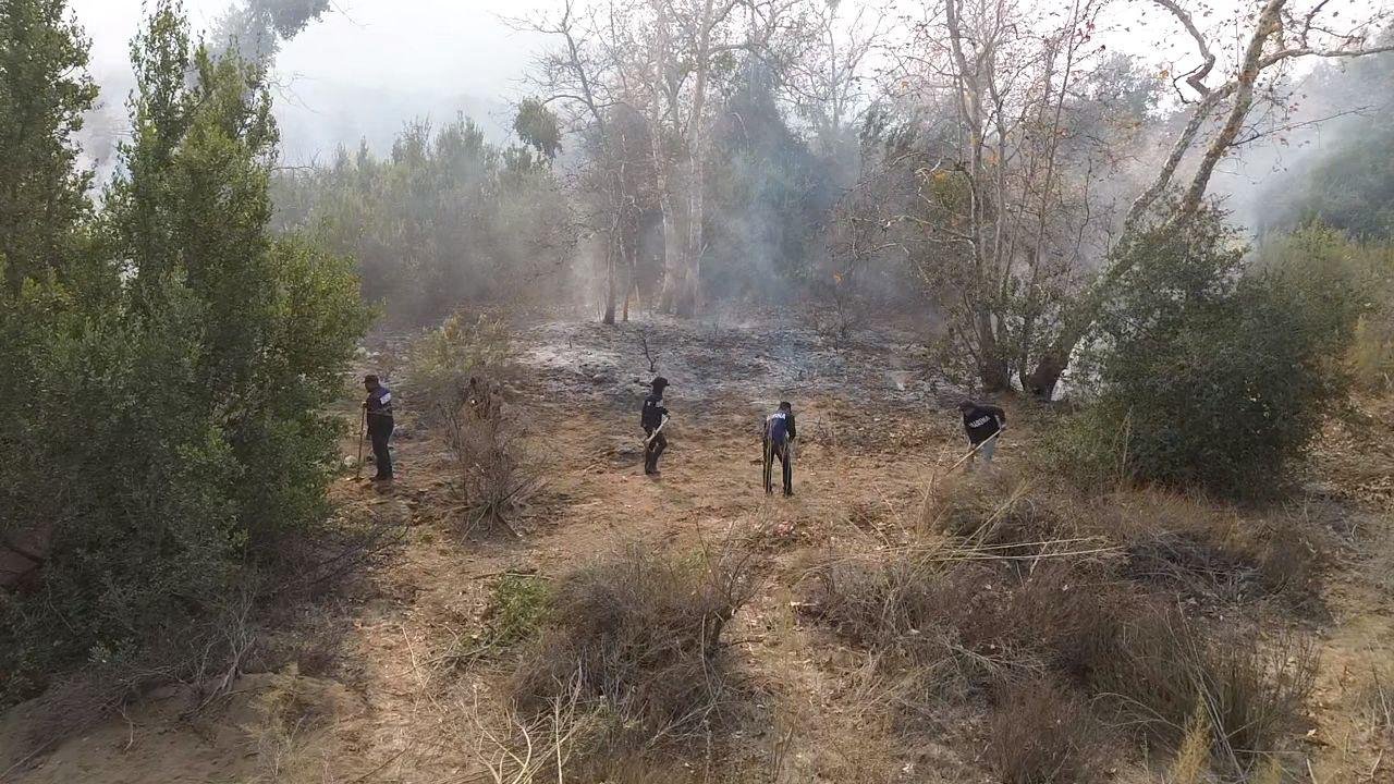 Incendio Uruapan Incendio uruapan