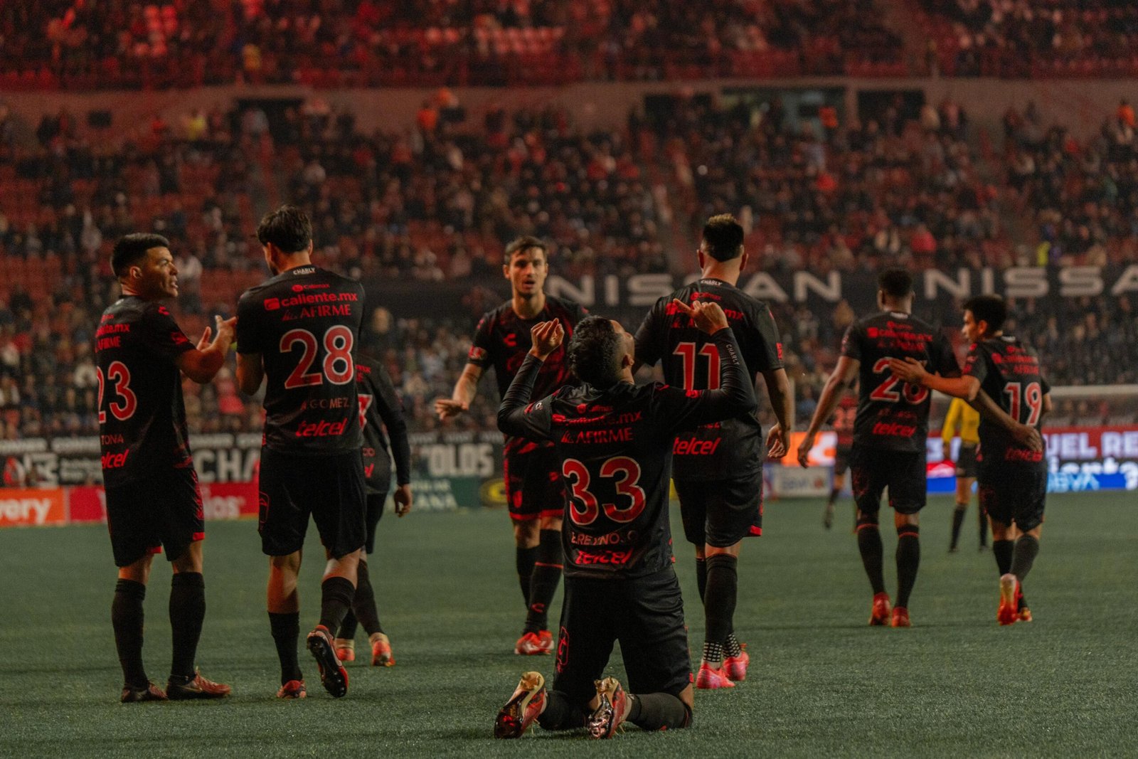 xolos xolos