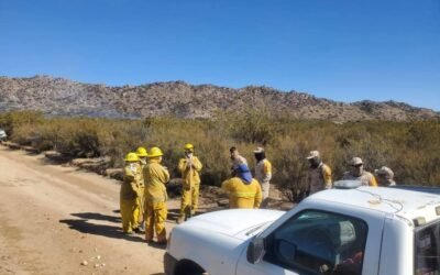 Reporta SADER incendios sofocados en Baja California