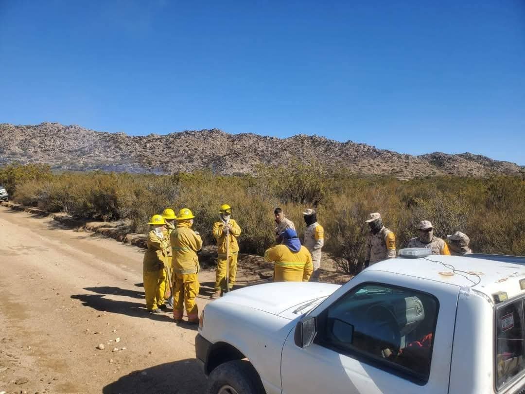 Bomberos Bomberos