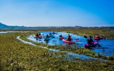 Impulsa Secretaría de Turismo distintivo nacional de calidad turística en Baja California