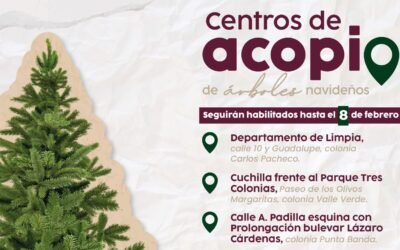 Amplía Gobierno de Ensenada recepción de árboles navideños