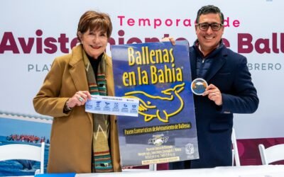 Invitan a disfrutar del avistamiento responsable de la ballena gris en Ensenada