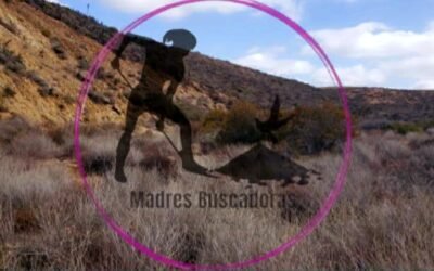 Localiza Colectivo de Búsqueda varios cadáveres en Valle Tranquilo