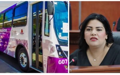 Propone Diputada Montse Murillo extender hasta Maneadero ruta de Transporte Violeta