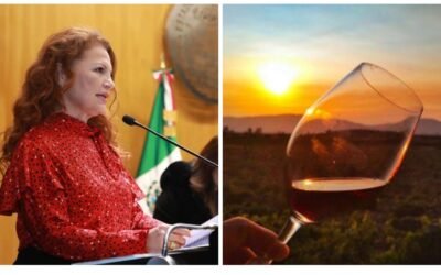 Aprueban exhorto de Diputada Rocío López Gorosave para publicación del reglamento de Ley del Vino