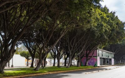 Promueve Gobierno de Tijuana adopción de áreas verdes en pro del medio ambiente