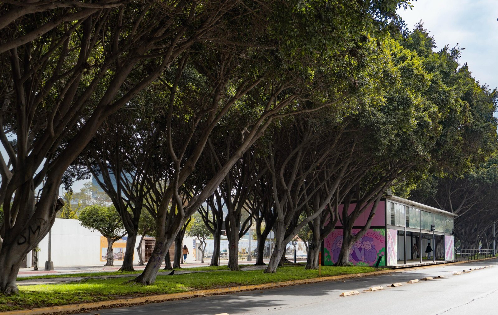 areas verdes tijuana
