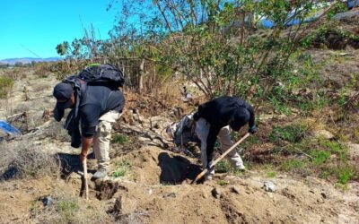 Confirma FGE hallazgo de 5 cadáveres en Valle Tranquilo