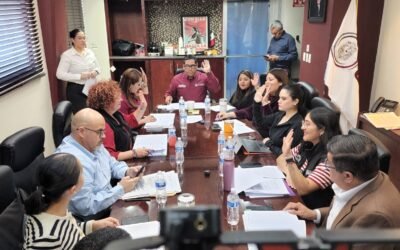 Aprobó Comisión de Gobernación elevar a rango constitucional la ¨Tarjeta Violeta¨