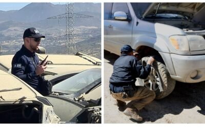 Localiza FGE dos autos robados tras catear yonke