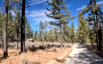 Resulta senderista herido de bala en La Rumorosa