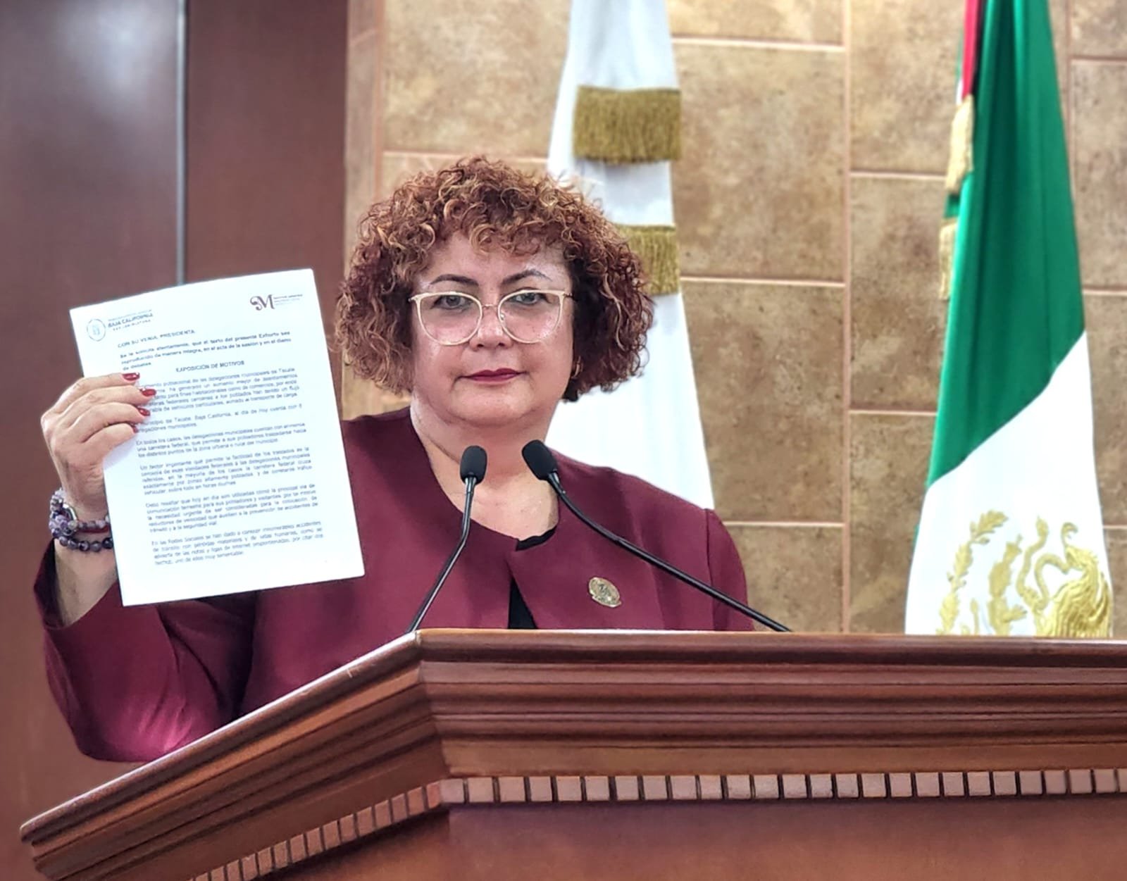 Diputada Maythe Mendez