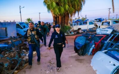 Supervisa Fiscal operativos en Yonkes Vs robo de auto