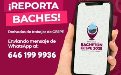 Cuenta «Bachetón CESPE» con número de WhatsApp para reportes