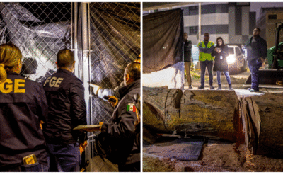 Ejecutó FGE 1er cateo por delito ambiental en BC