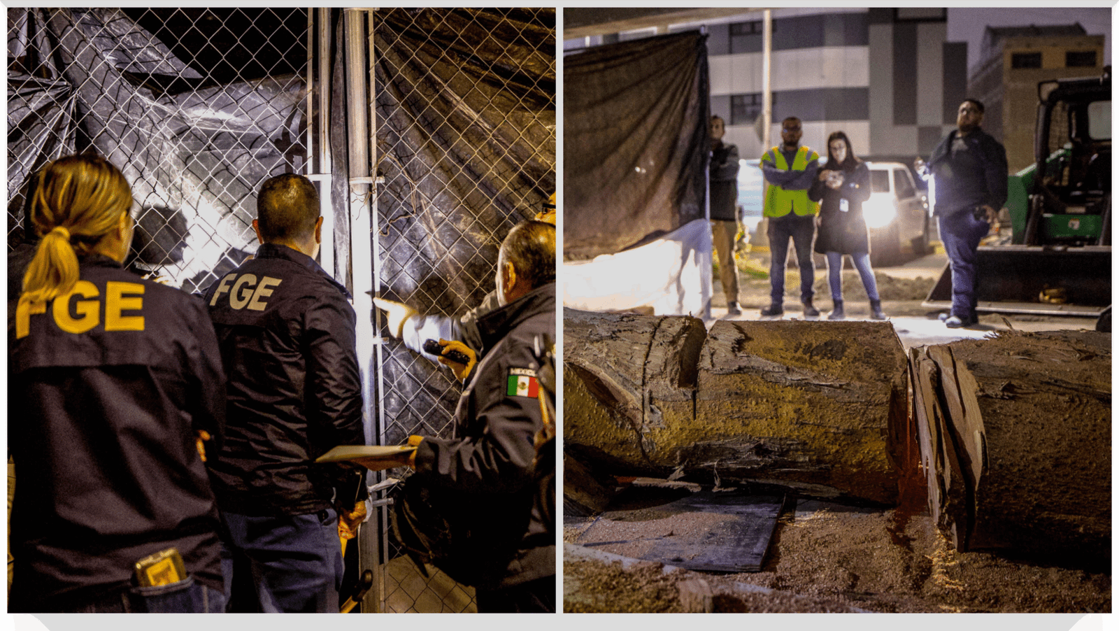 Cateo delito ambiental 