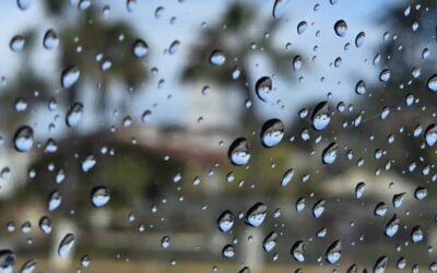 Mantiene Gobierno de Ensenada monitoreo ante pronóstico de chubascos y vientos