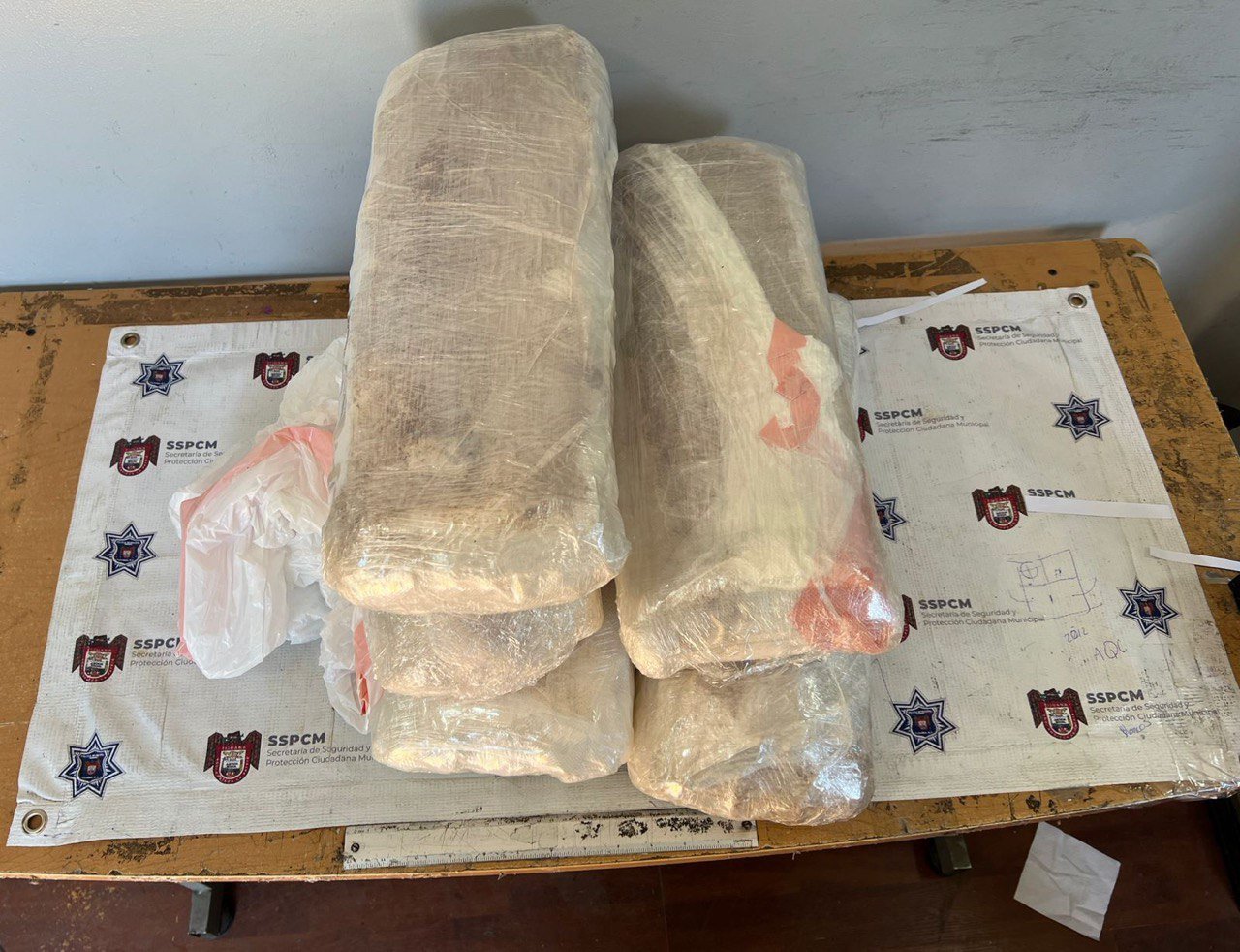 decomiso mula ciega Tijuana decomiso mula ciega Tijuana