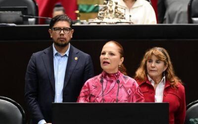Ley de Seguridad Pública consolidará la paz en México: Rocío López Gorosave