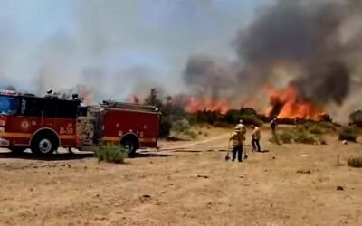 Supervisa Comite Estatal avances y acciones ante incendios forestales en Tecate