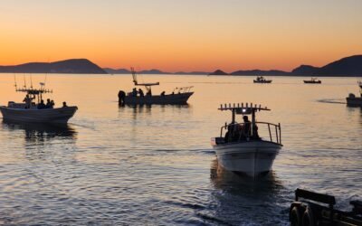 Generan Torneos de Pesca Deportiva derrama económica de hasta 4.5 mdp en Ensenada