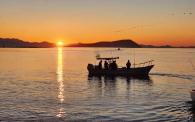 Arrancó con éxito ¨Torneo 2 Mares Baja¨ en Bahía de Los Ángeles