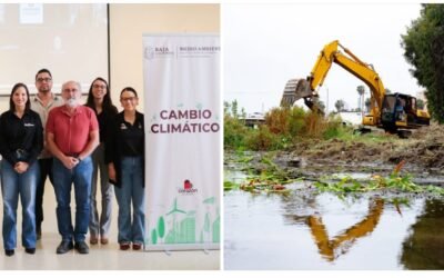 Aprueban Programa de Manejo Especial para arroyo San Miguel en Ensenada