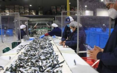 Destaca SEPESCA BC compromiso social y ambiental de plantas procesadoras de pescado y mariscos