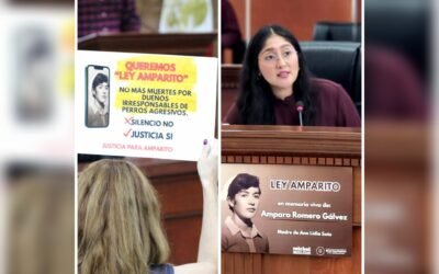 Aprobó Congreso de Baja California «Ley Amparito»