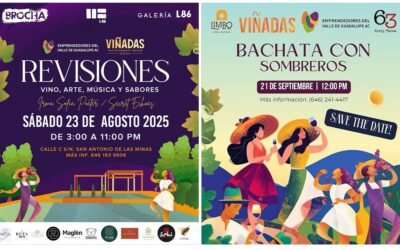 Invita Turismo a disfrutar de Viñadas🍇🍷
