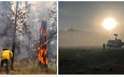 Ante incendios sigue limitado acceso a Parque Nacional Sierra de San Pedro Mártir