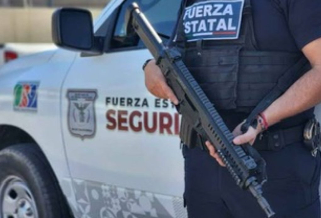 Fuerza Estatal