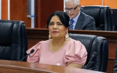 Propone Diputada Montse Murillo agravar pena por robo de vehículo
