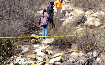 Localizaron restos humanos en Real del Castillo