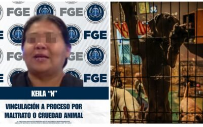 Vinculan a proceso a Keyla por crueldad animal en Ellos Son la Razón