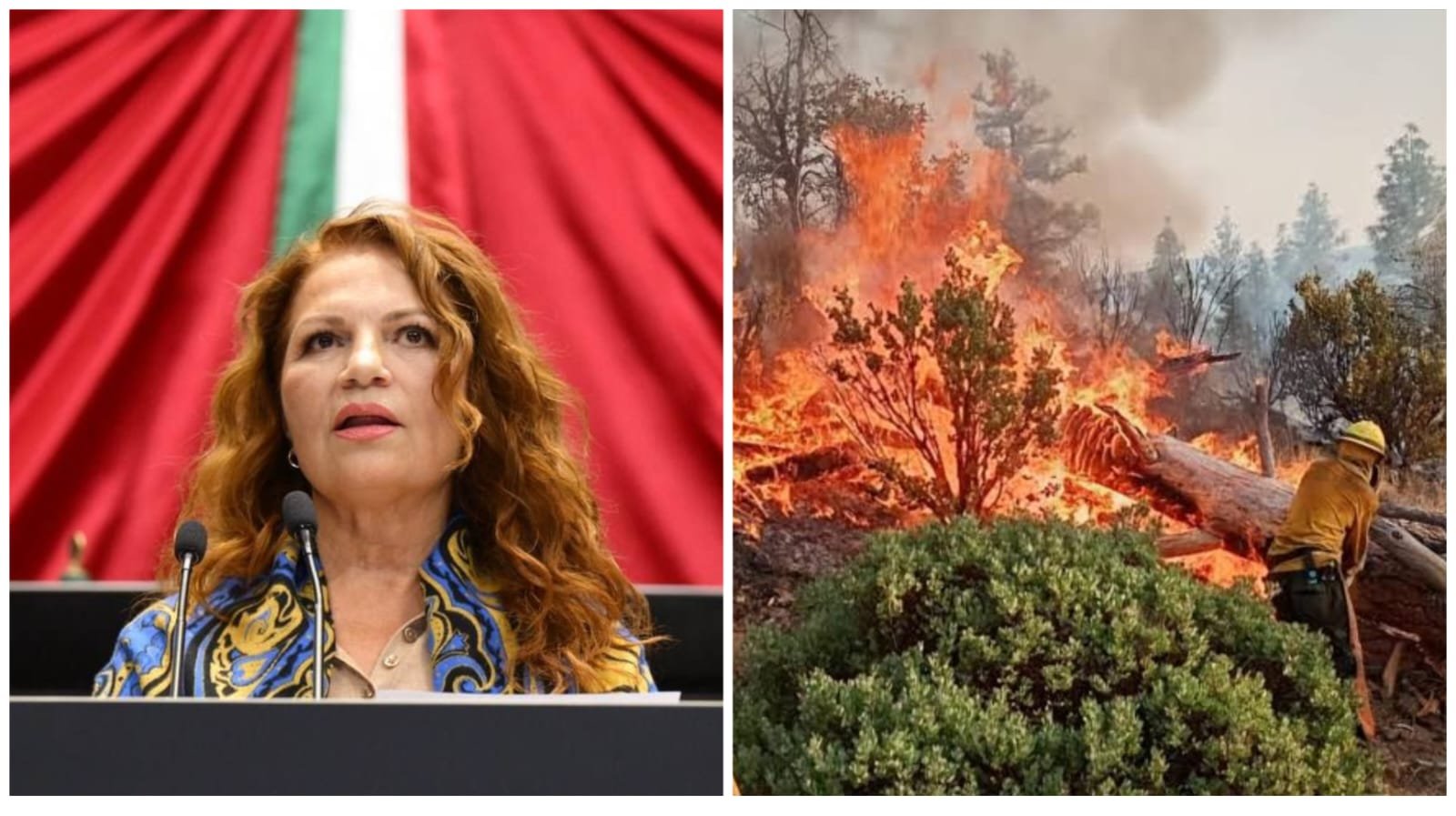 Rocío López Gorosave