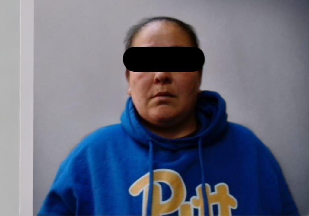 detenida por intento de robo a comercio detenida por intento de robo a comercio