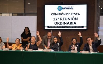 Aprueba Comisión de Pesca dictamen para brindar prestaciones a pescadores: Rocío López Gorosave