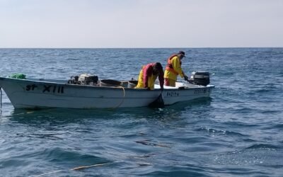 Ofrecerán taller de seguridad en buceo para pesca comercial