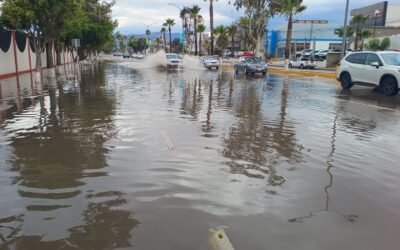 Reportan caída de 12.5 milímetros de lluvia en Ensenada, en las últimas 24 horas